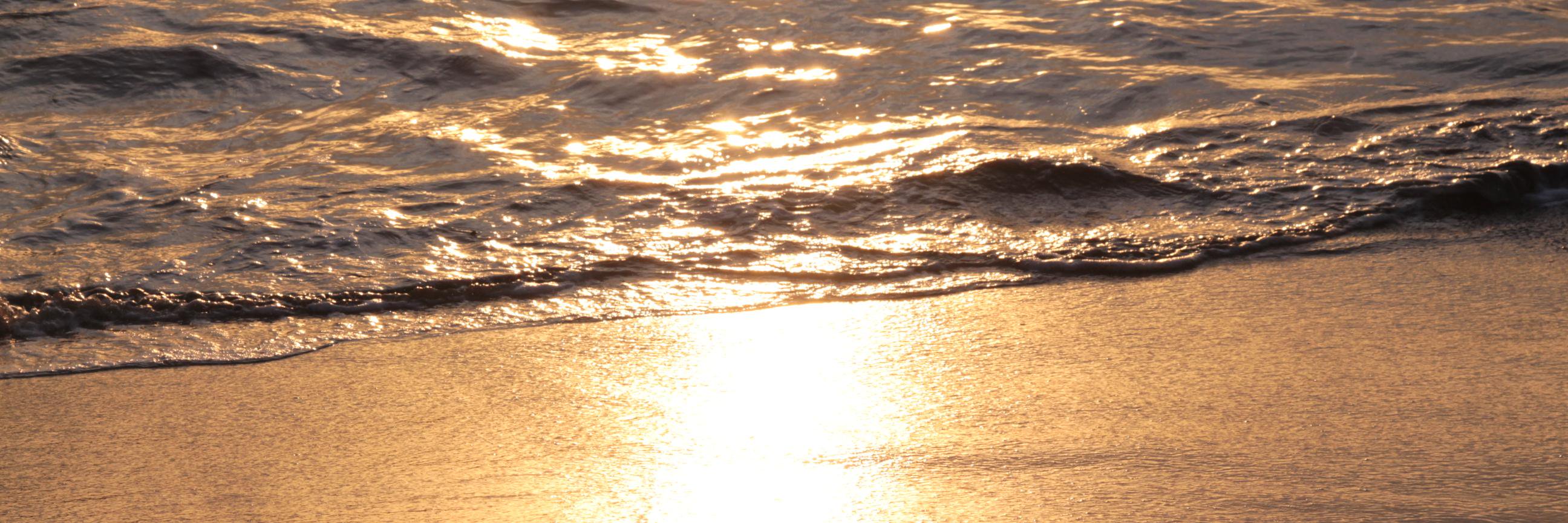 eglantine_ferey's profile banner image