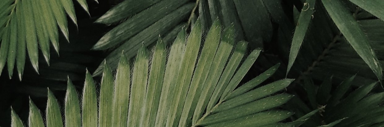 Manuel5863's profile banner image