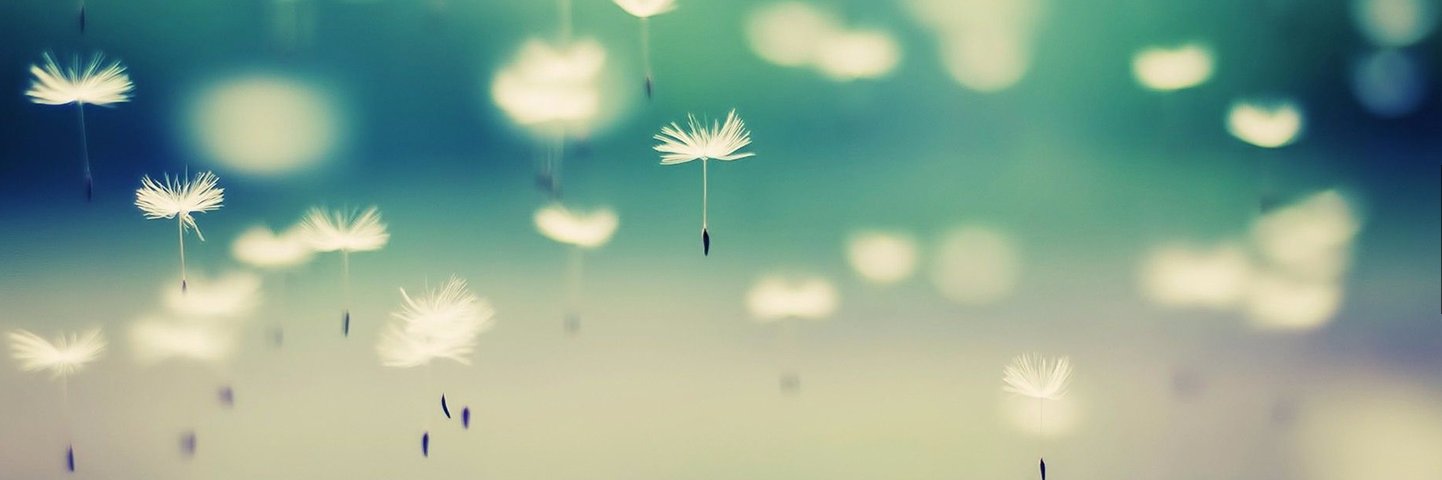 ThePrimaLeague's profile banner image