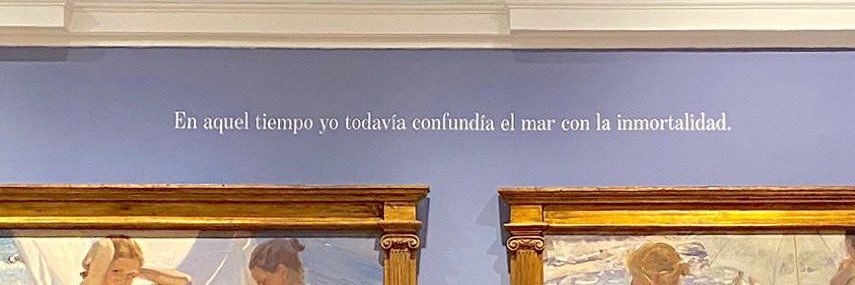 mariaberrocalr's profile banner image