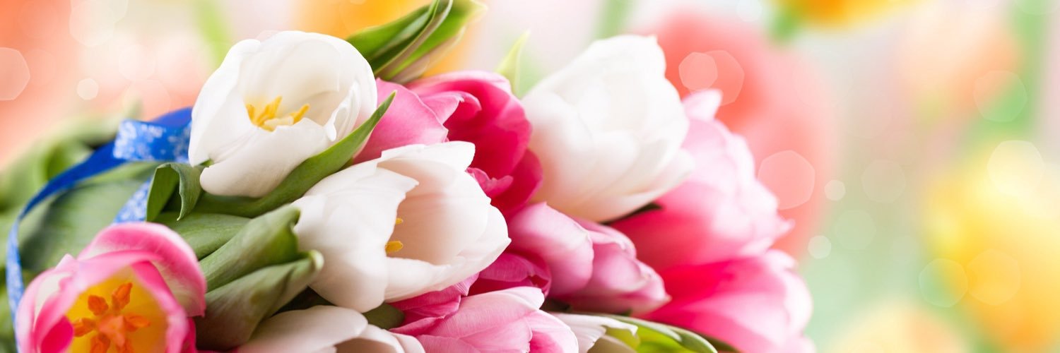 tulip_7 banner