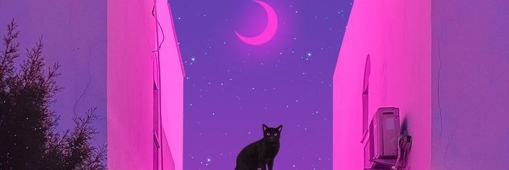 ziggystarlost's profile banner image