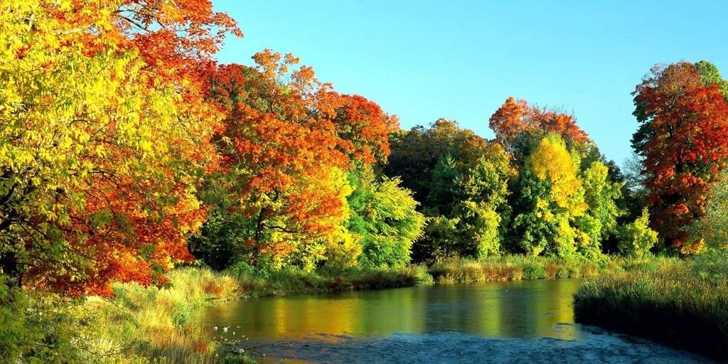 Yustinus Hendrawan banner