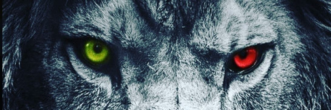 Serdartrh's profile banner image