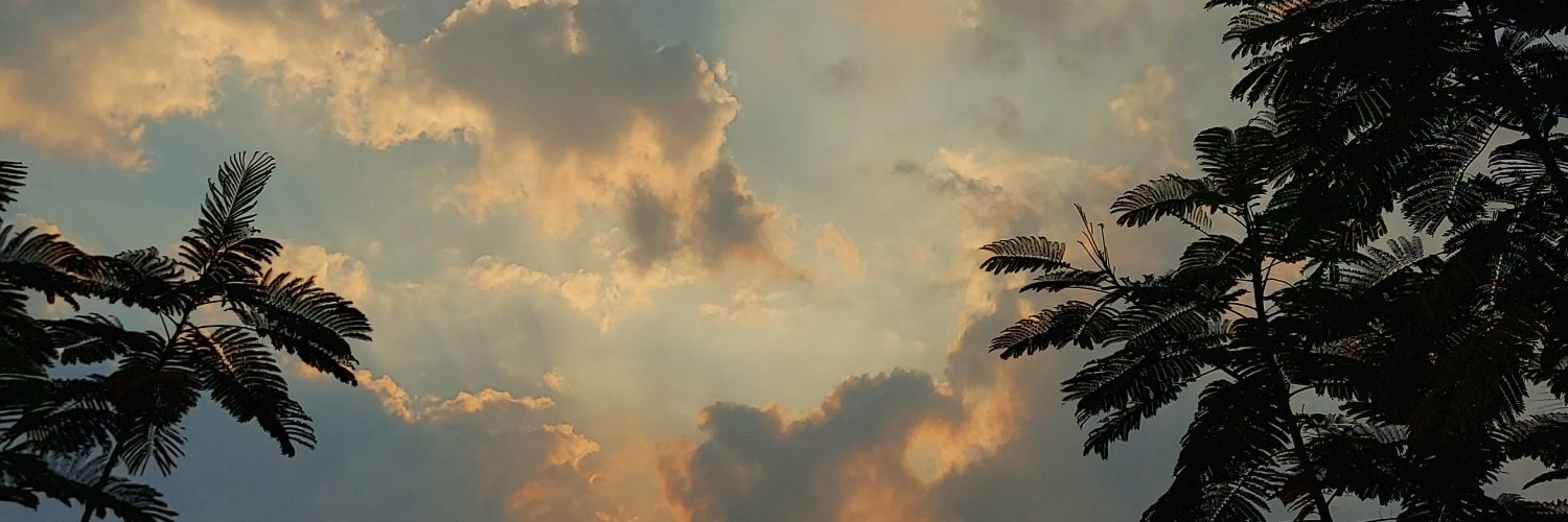 amadeadeoo's profile banner image