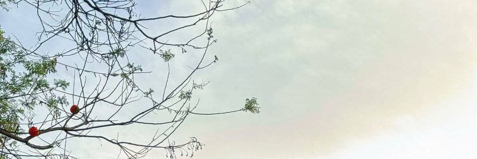 Maxpokl's profile banner image