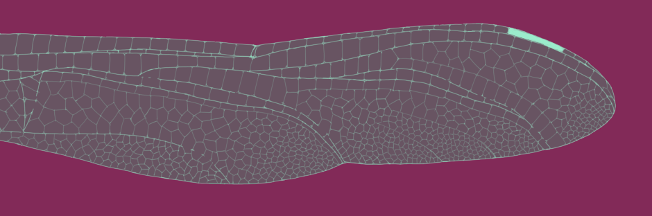 dattono's profile banner image