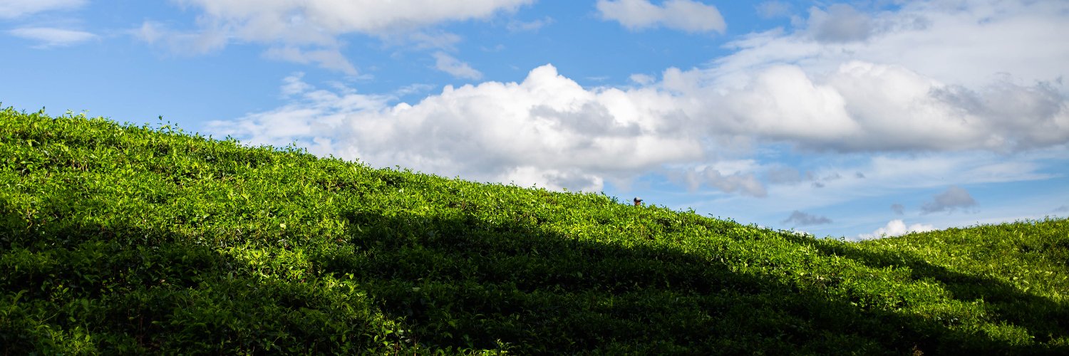 Microsanz's profile banner image