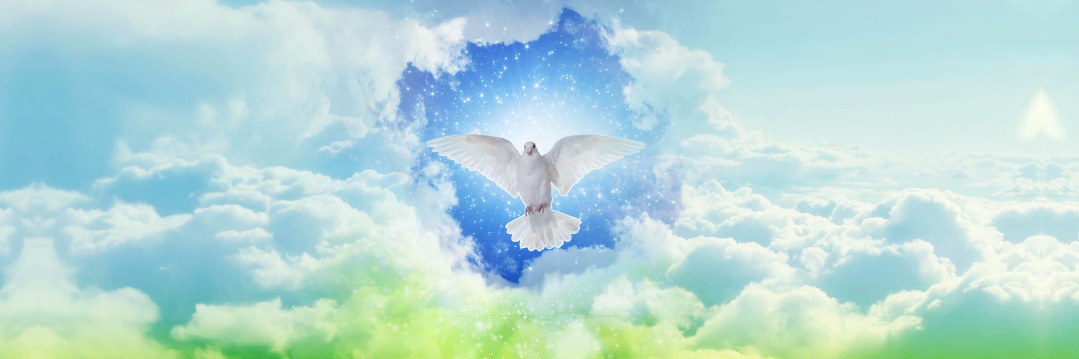 coeursdelumiere's profile banner image