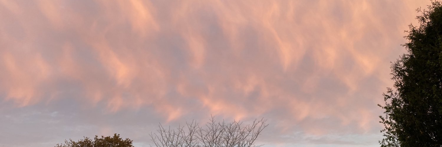 fionanoella's profile banner image