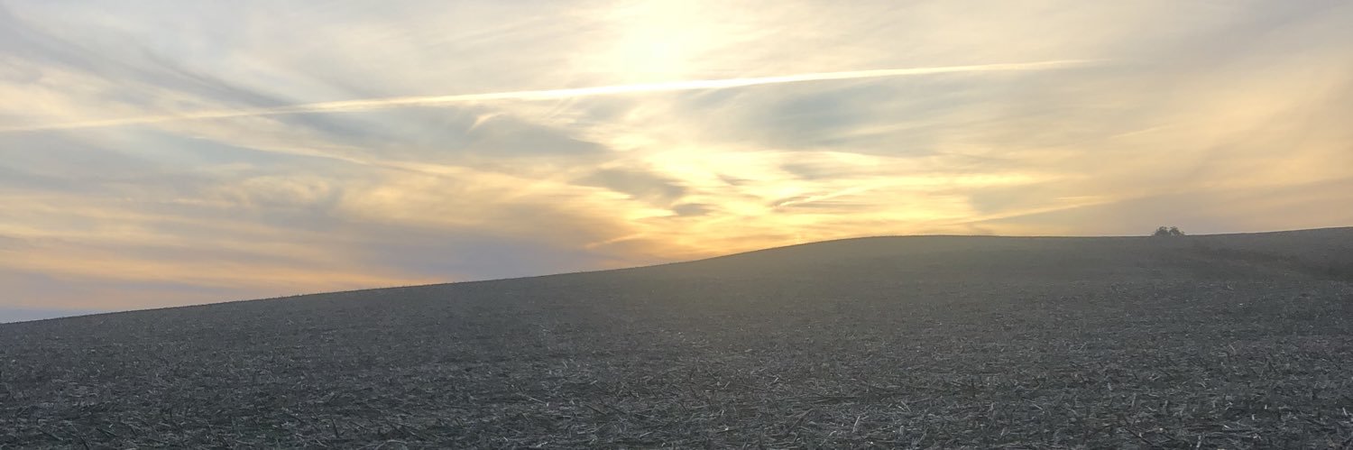 jmann97's profile banner image