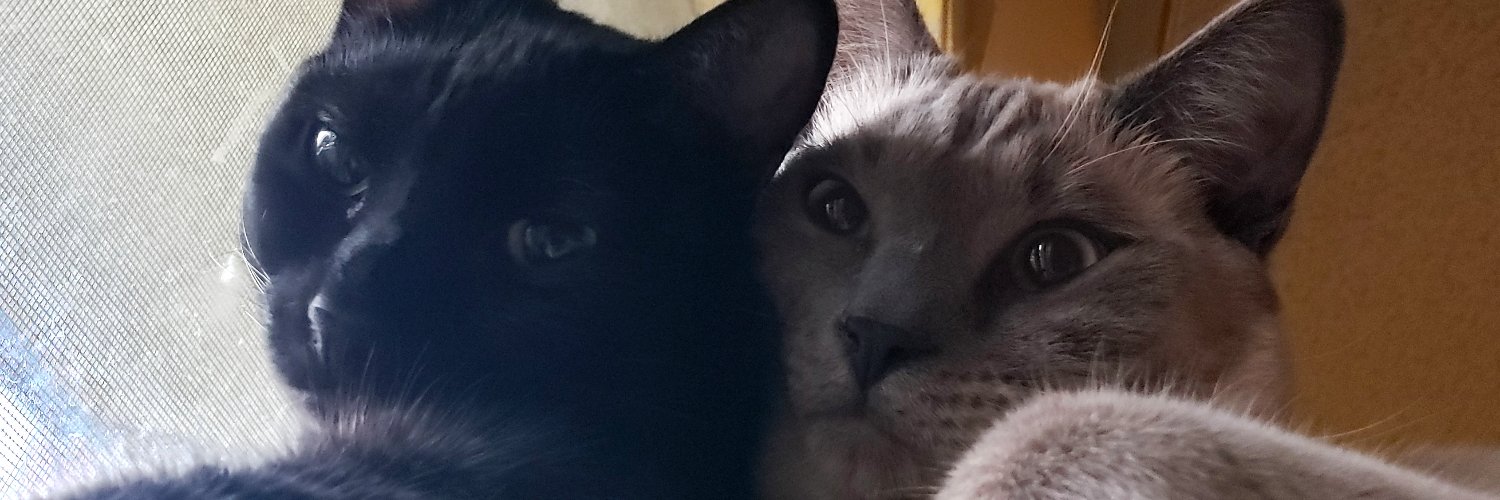 FatChickinLA's profile banner image