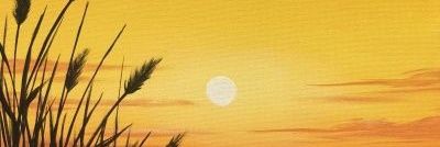 DallyMosqueda's profile banner image
