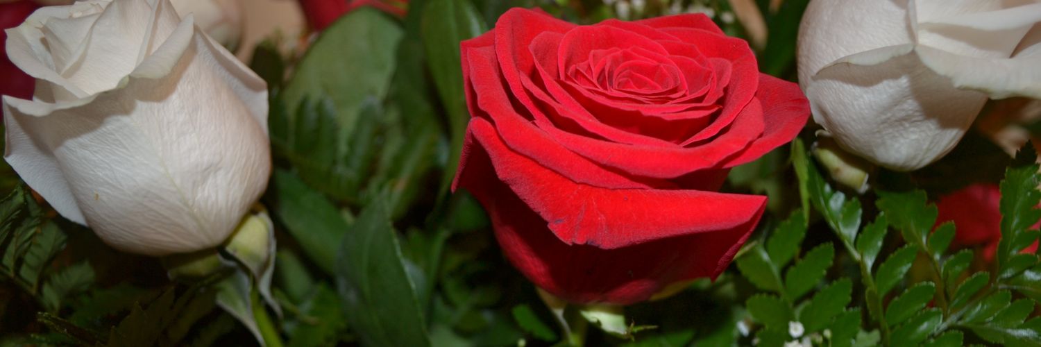 Esteeeelaaa's profile banner image