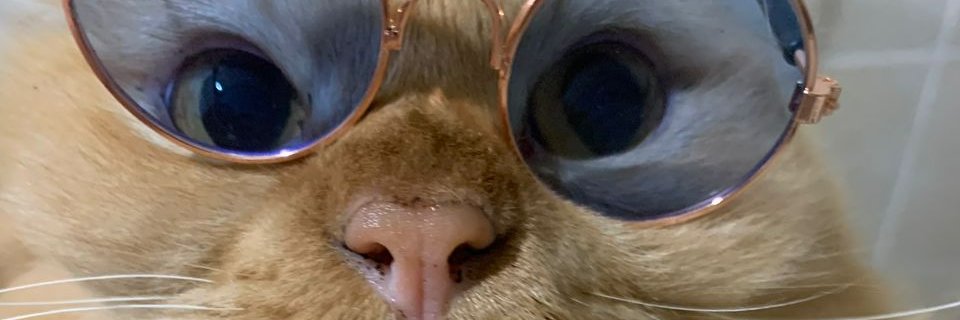 fnshu's profile banner image