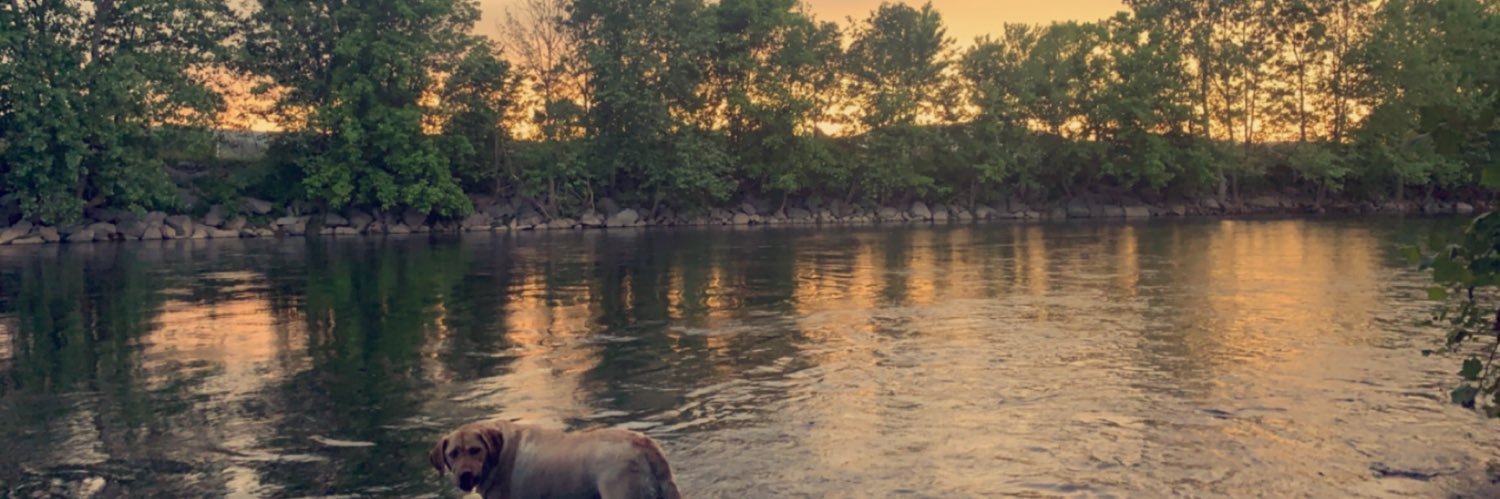Emma_baker19's profile banner image