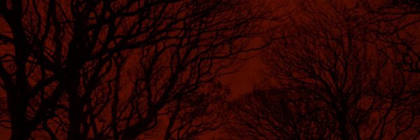 TroyBooks Profile Banner