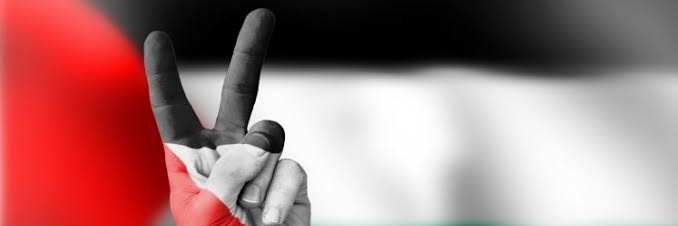 MustafaKaygin84's profile banner image
