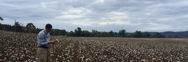 ALConservative Profile Banner