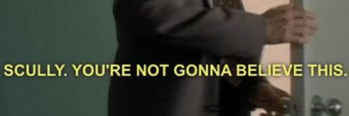 Chlo_Bugly's profile banner image