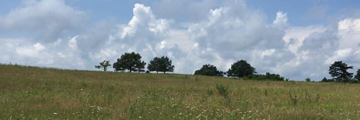 jduncanrn's profile banner image
