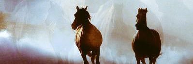 muhaya_'s profile banner image