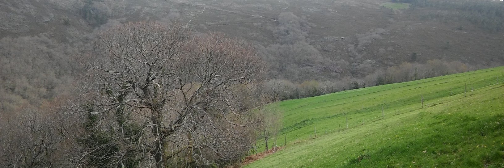 JuLuBlan's profile banner image