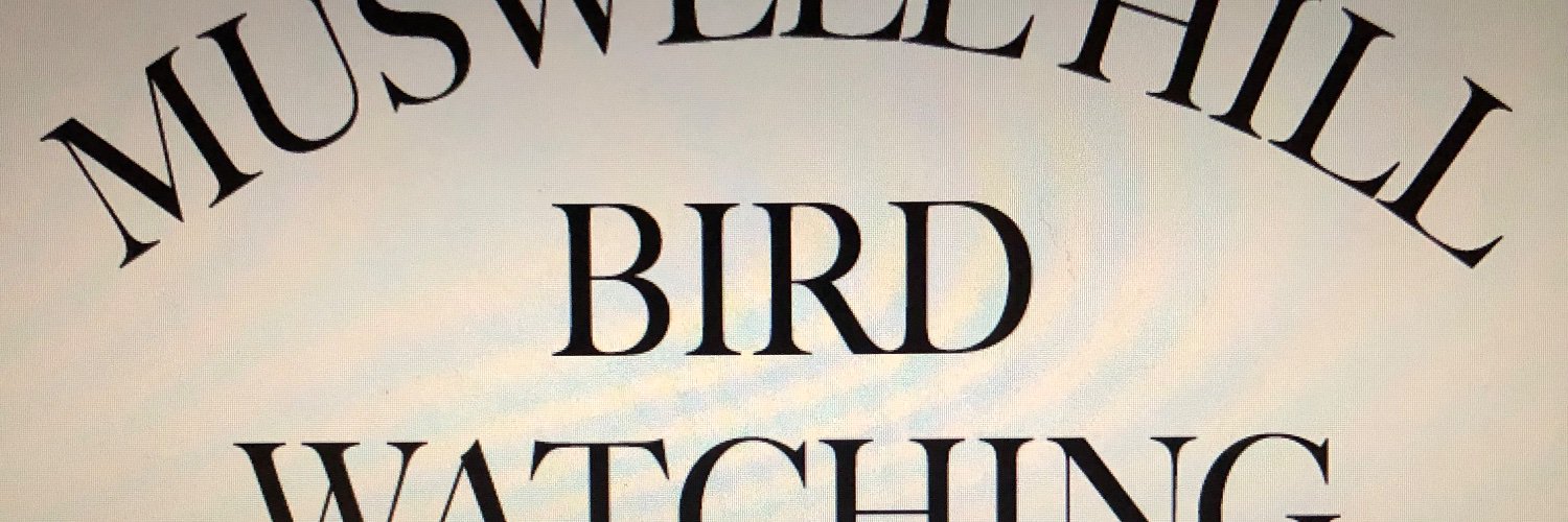MHBWC's profile banner image