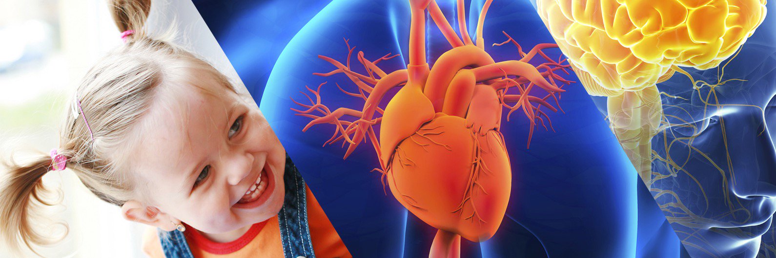 UCL Physiotherapy banner