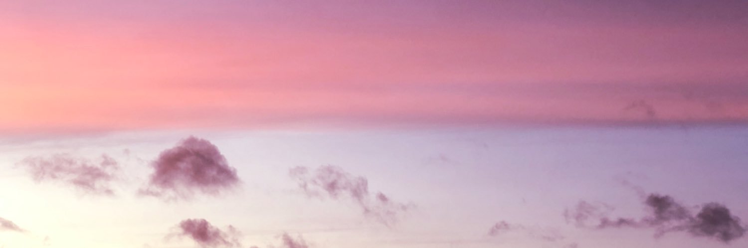 SoozNeilson's profile banner image