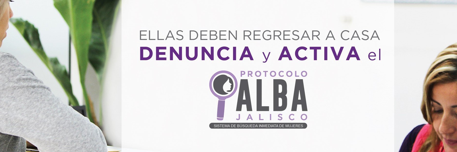 Protocolo Alba banner