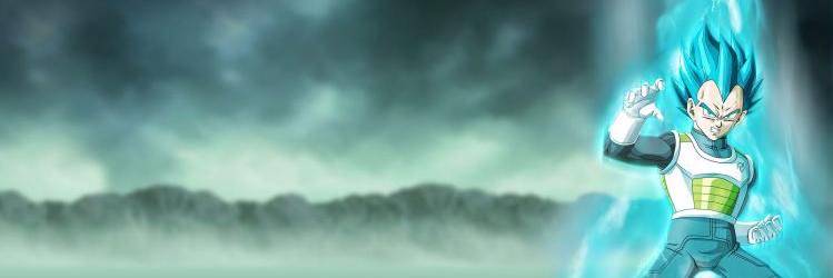 PrinceVegetaFR's profile banner image