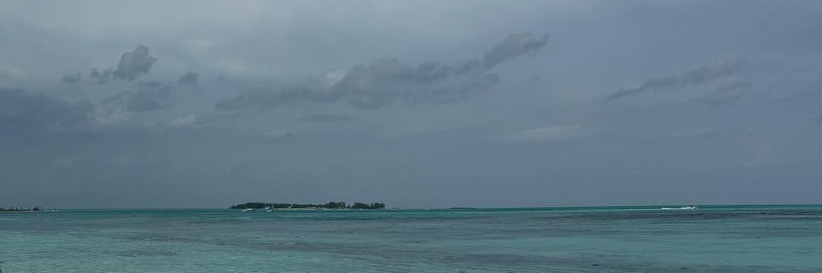 knimeh's profile banner image
