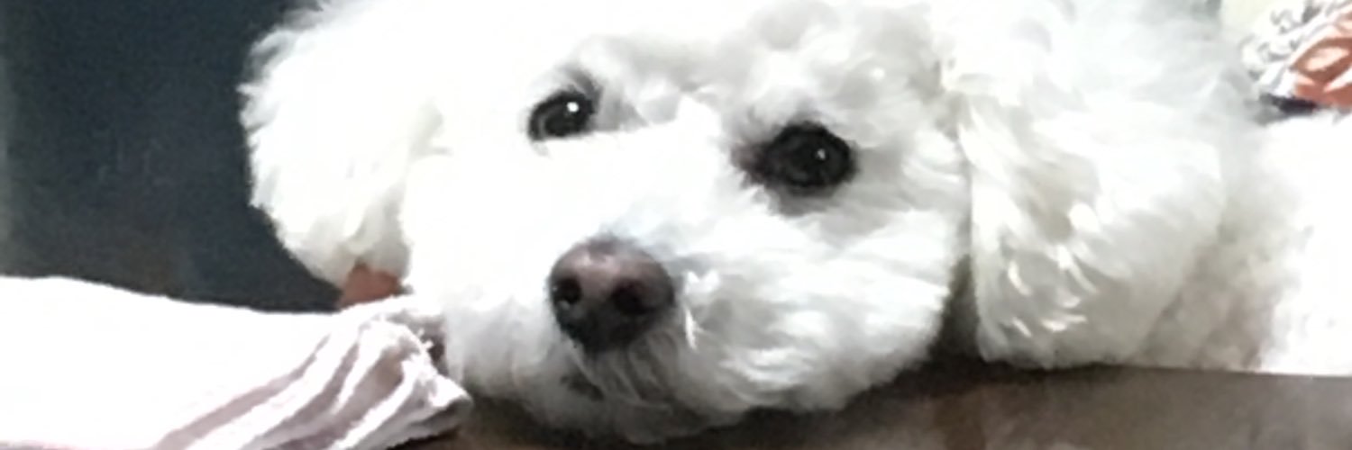 coara0313's profile banner image