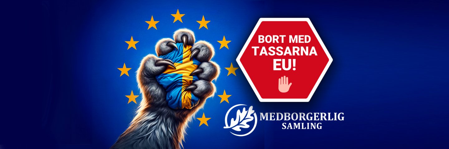 mafrid's profile banner image