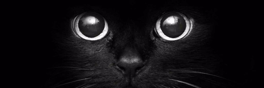 SDBPPD's profile banner image