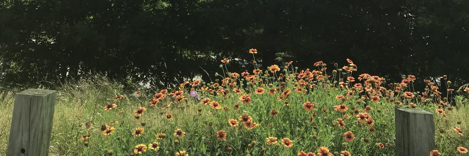 katestout_'s profile banner image