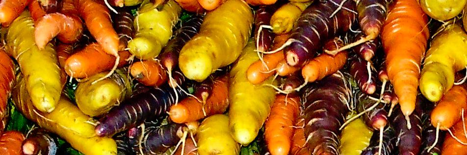 PAFarmersMarket's profile banner image
