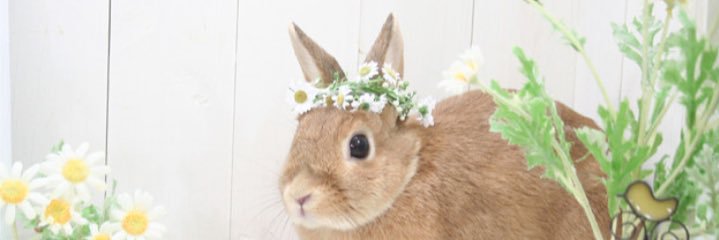 popo20111201's profile banner image