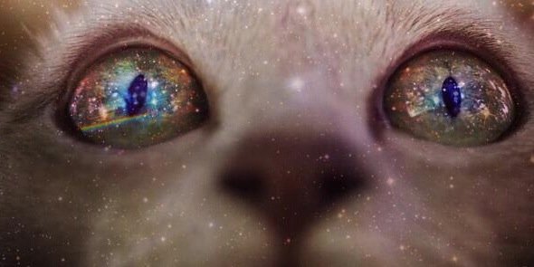 HERVASOTSKI's profile banner image
