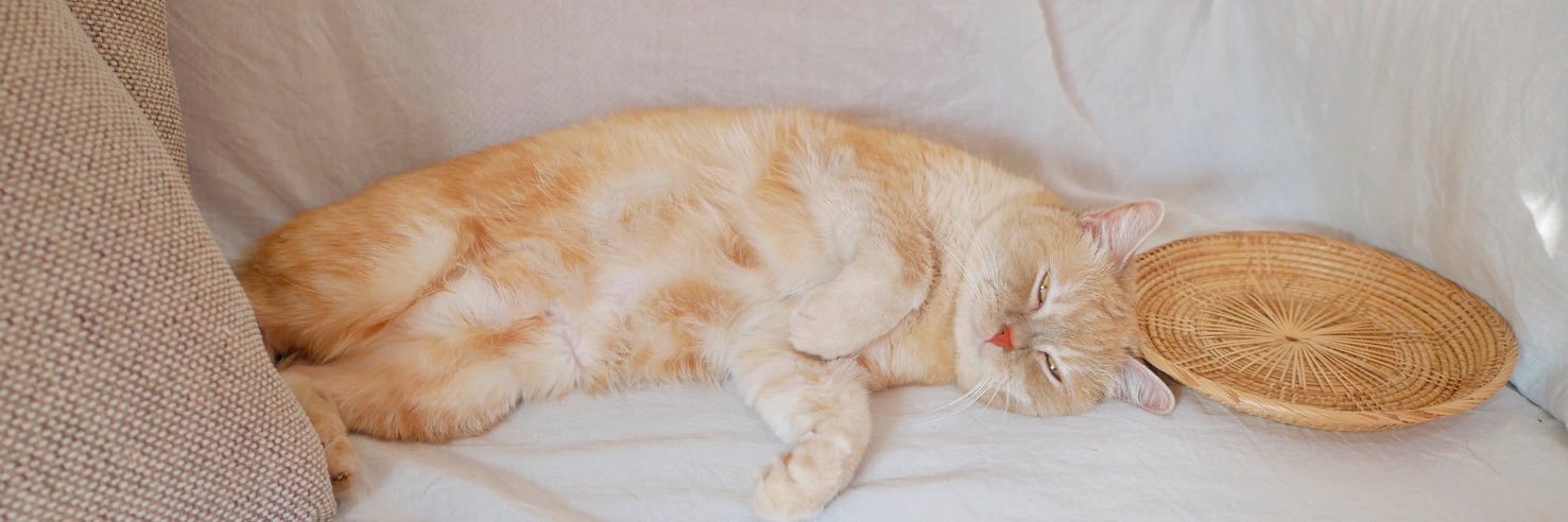 byteties's profile banner image