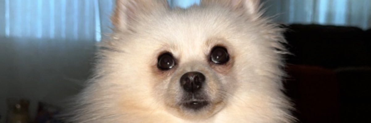 basna307's profile banner image