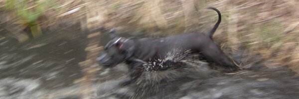 ttttomassss Profile Banner