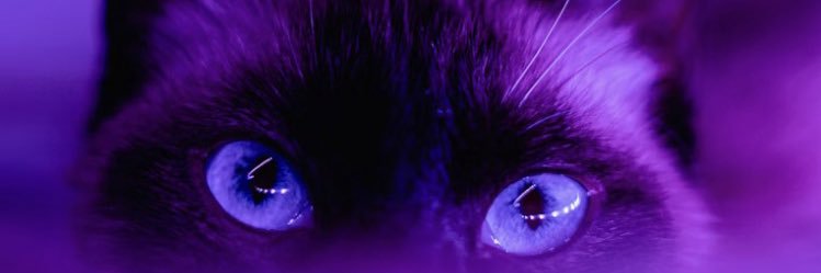Angelia_143's profile banner image