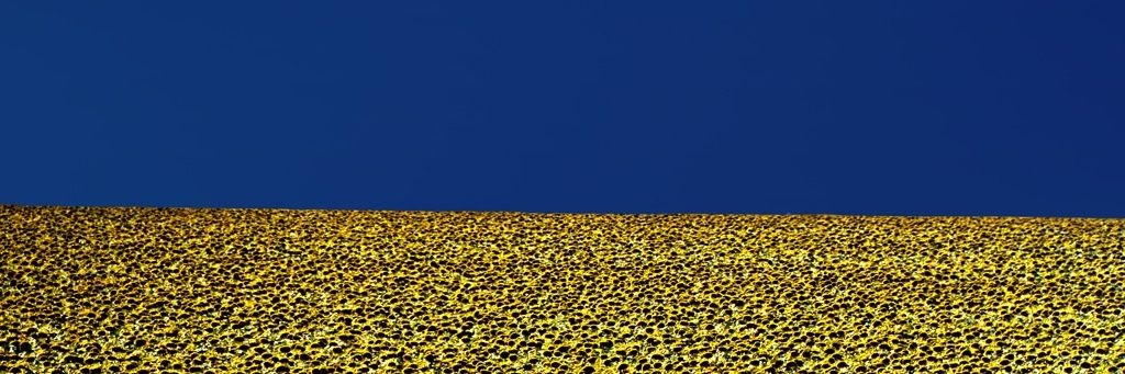 Ljubsha's profile banner image