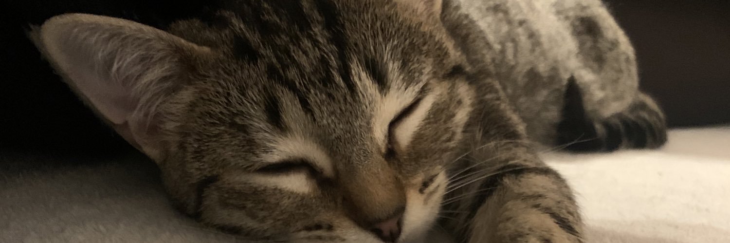 batpauli's profile banner image