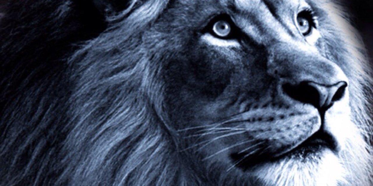 BryceJohn24's profile banner image