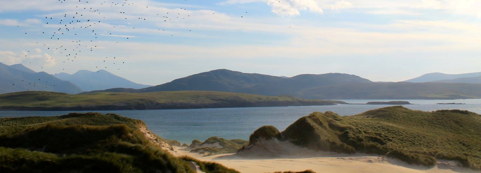 LauraCPollitt's profile banner image