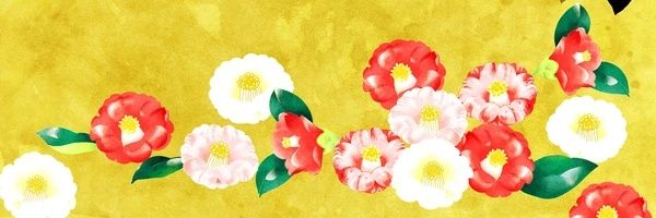 bashiko_n's profile banner image