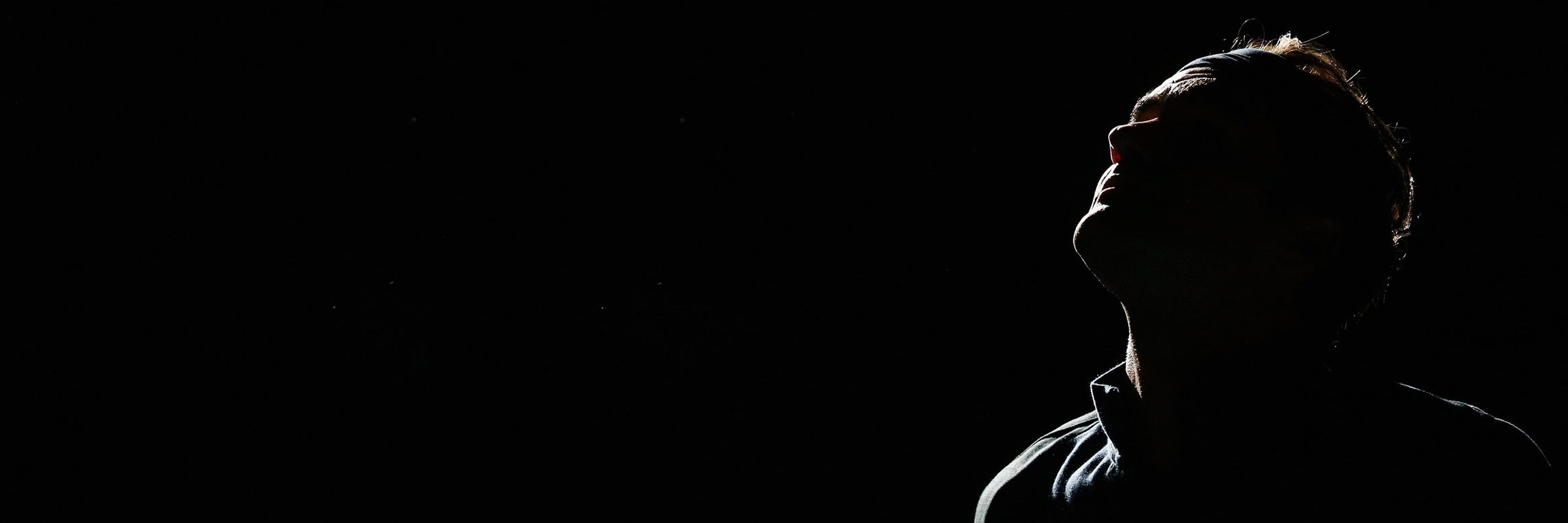ilsesf's profile banner image